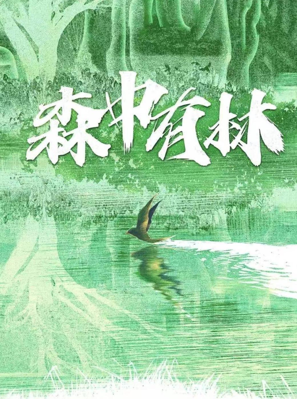 在国外怎么看腾讯视频直播教程